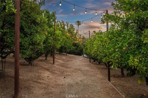 31819 Highview DR, Redlands, CA 92373