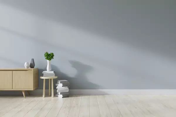 Modern mid Century interior of living room