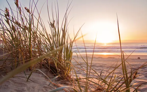 Living in Baldwin County: A Guide for Families, Retirees, and Investors