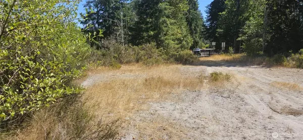 264 Riverview DR, Castle Rock, WA 98611