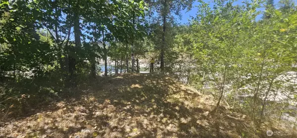 264 Riverview DR, Castle Rock, WA 98611