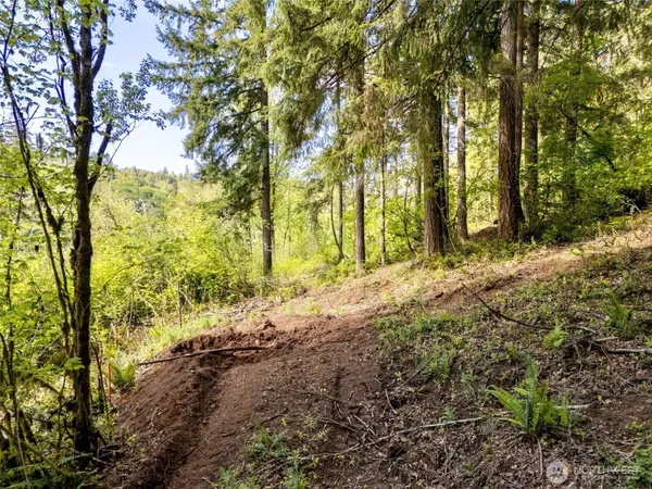 141 Old Spread Borough RD, Kalama, WA 98625