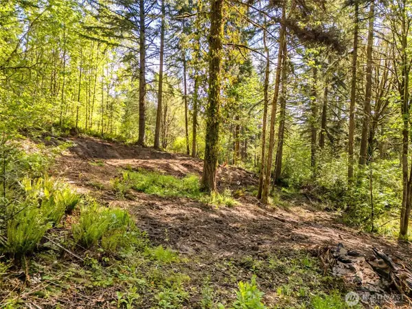 147 Old Spreadborough RD, Kalama, WA 98625