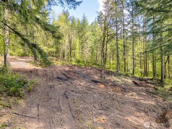 141 Old Spread Borough RD, Kalama, WA 98625