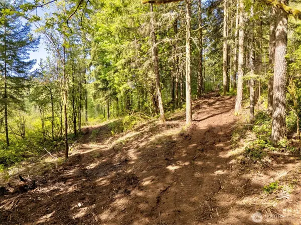 141 Old Spread Borough RD, Kalama, WA 98625