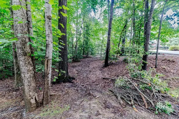 3085 Fairway Woods, Sanford, NC 27332