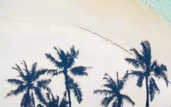 tc9g4vzp85dmcv3higvx