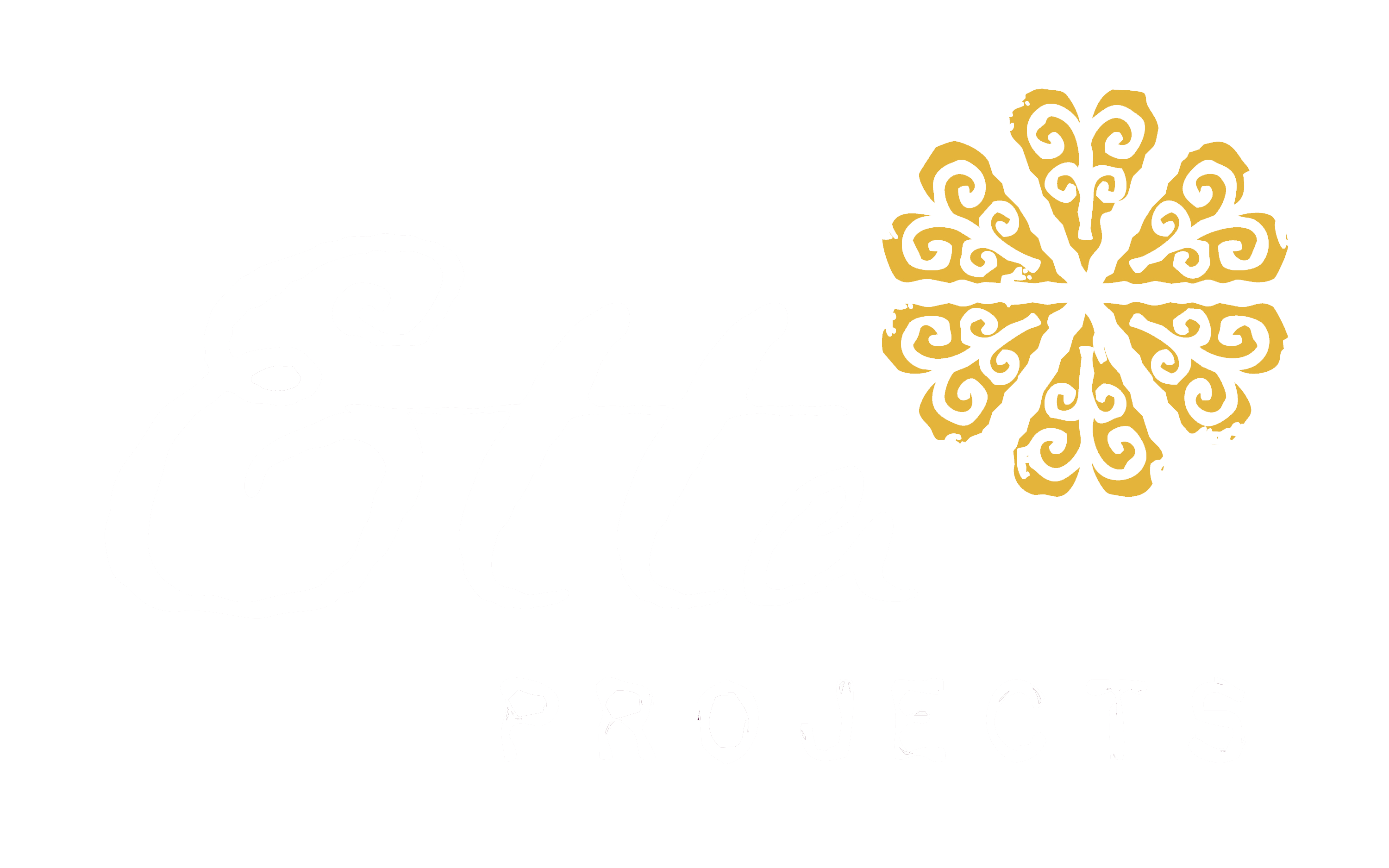 Etta Projects Logo