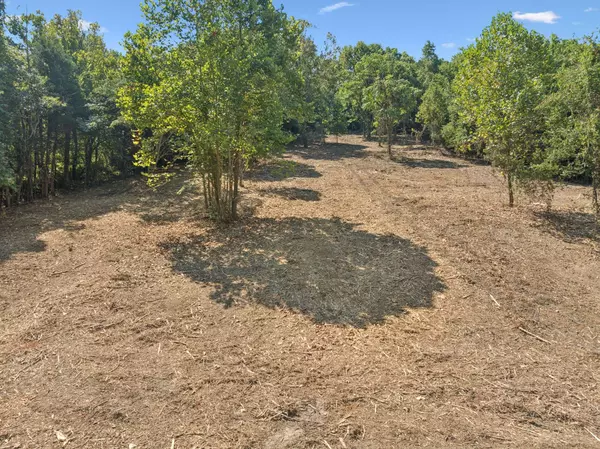 115 Agee Branch Ln, Hickman, TN 38567