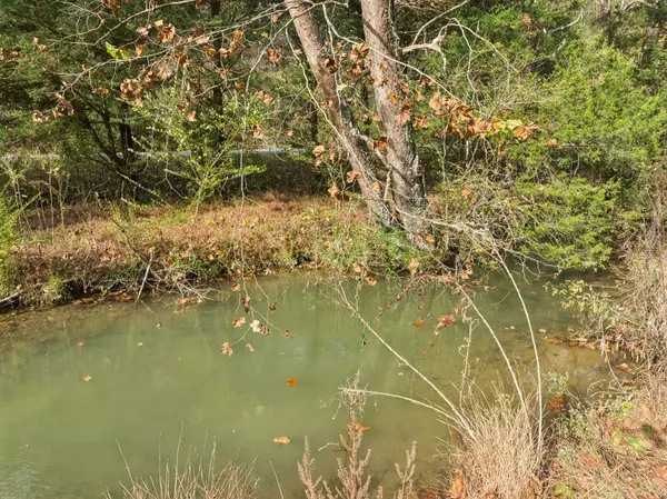 0 Club Springs Road, Elmwood, TN 38560