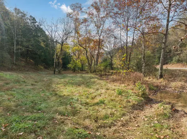 0 Club Springs Road, Elmwood, TN 38560