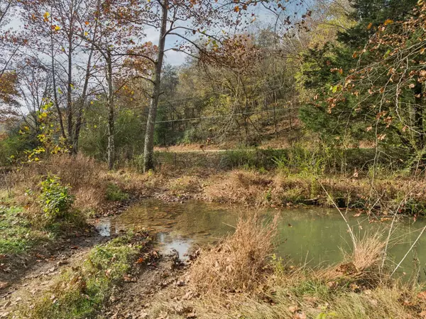 0 Club Springs Road, Elmwood, TN 38560