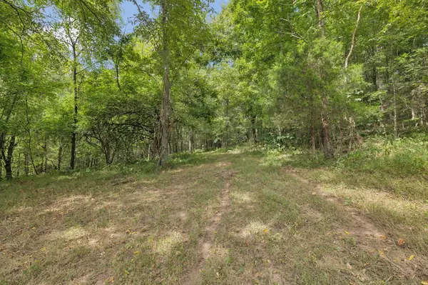 0 Funn Branch Road, Gainesboro, TN 38562