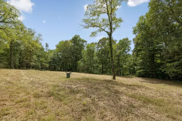 0 Funn Branch Road, Gainesboro, TN 38562