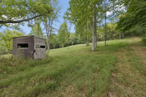 0 Funn Branch Road, Gainesboro, TN 38562