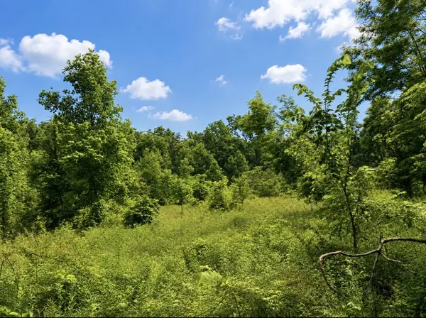 0 Oak Knob Road, Lafayette, TN 37083