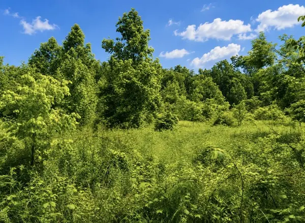 0 Oak Knob Road, Lafayette, TN 37083