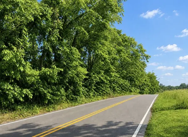 0 Oak Knob Road, Lafayette, TN 37083