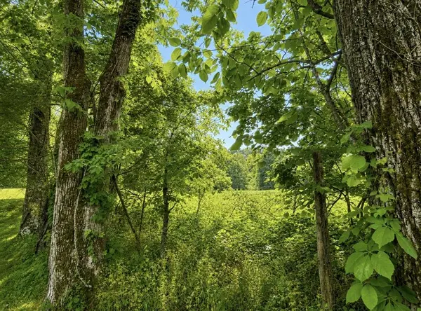 0 Oak Knob Road, Lafayette, TN 37083