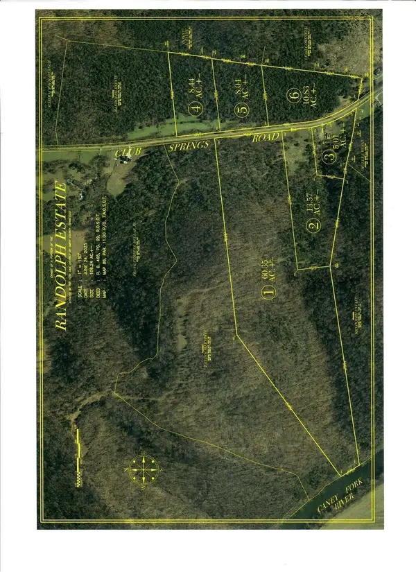 0 Club Springs Rd, Elmwood, TN 38560