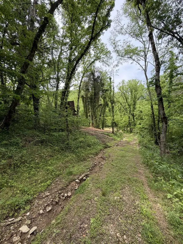 0 Long Branch Rd, Lancaster, TN 38569