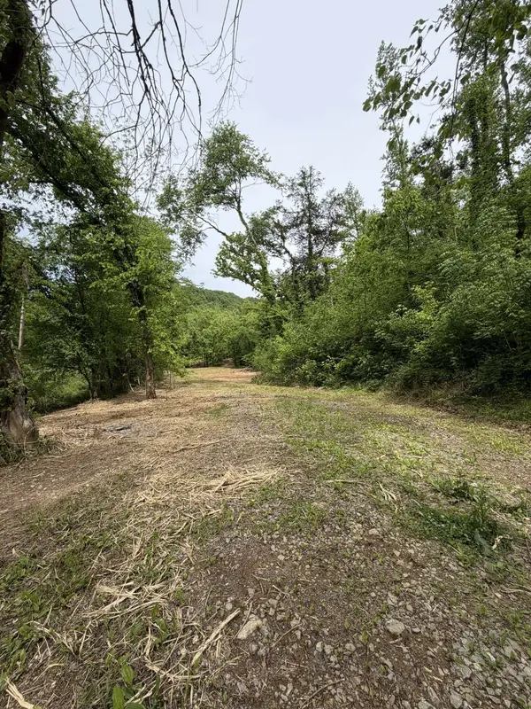0 Long Branch Rd, Lancaster, TN 38569