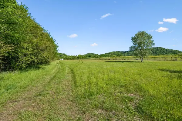 97 Seabo Valley Ln, Hickman, TN 38567