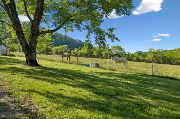 97 Seabo Valley Ln, Hickman, TN 38567