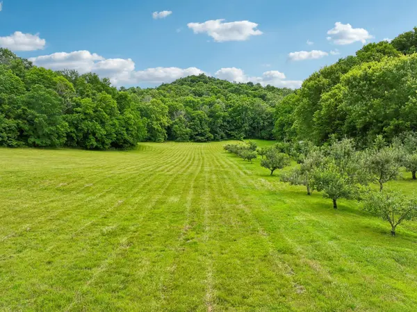 574 Hayes Ridge Rd, Lancaster, TN 38569