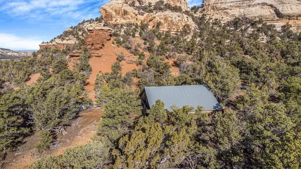 4440 S 9 8/10 Road, Glade Park, CO 81523