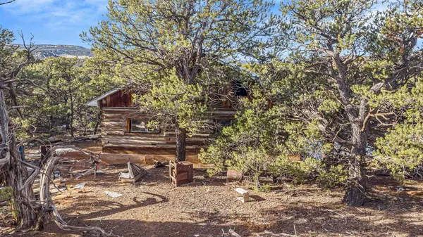 4440 S 9 8/10 Road, Glade Park, CO 81523