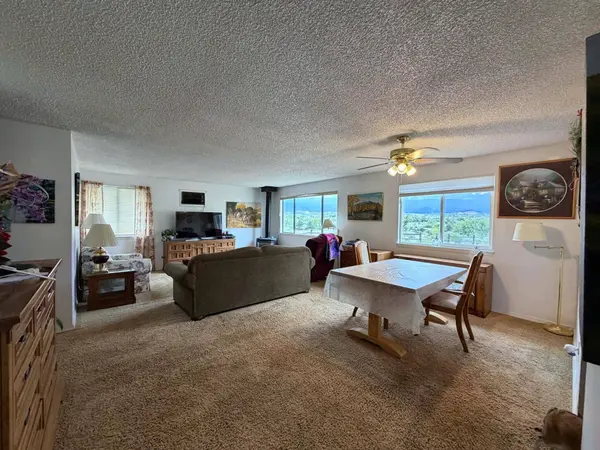 22563 Oatman Road, Eckert, CO 81418