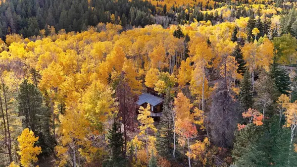 1315 Ruedi Creek Road, CO 81621