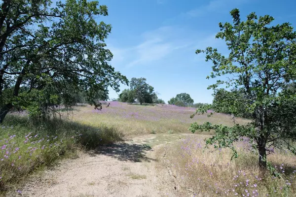 0 Pennyroyal, Prather, CA 93651