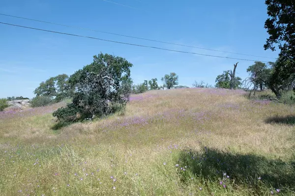 0 Pennyroyal, Prather, CA 93651