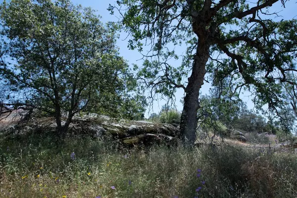 0 Pennyroyal, Prather, CA 93651