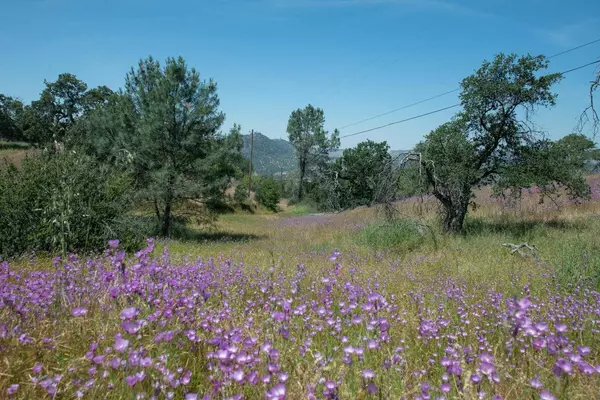 0 Pennyroyal, Prather, CA 93651