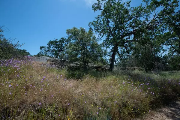 0 Pennyroyal, Prather, CA 93651