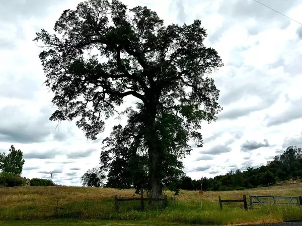 0 Savage, Coarsegold, CA 93614