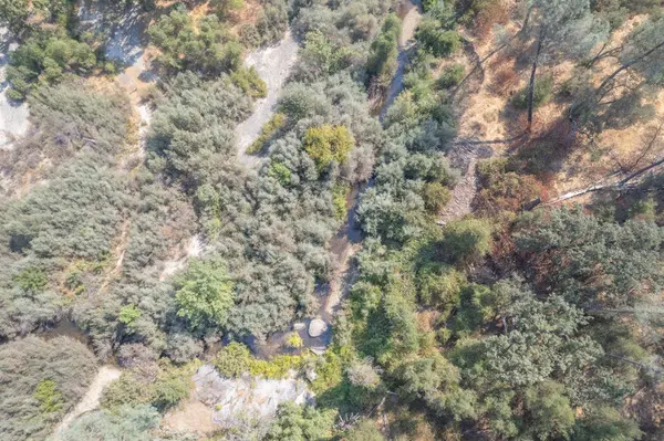 54140 Road 400, Coarsegold, CA 93614