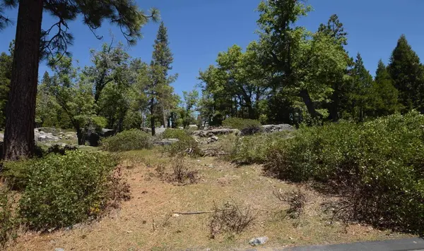 42728 Garnet LN #lot41, Shaver Lake, CA 93664