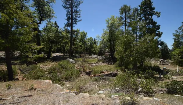 42782 Garnet LN #lot38, Shaver Lake, CA 93664