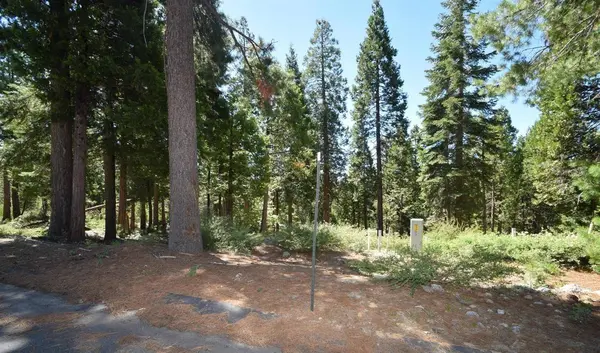 42036 Tourmaline LN #103, Shaver Lake, CA 93664
