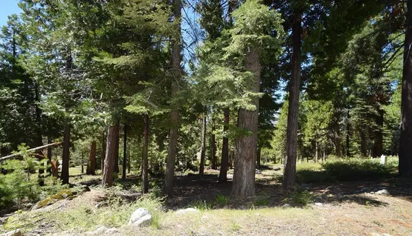 42036 Tourmaline LN #103, Shaver Lake, CA 93664