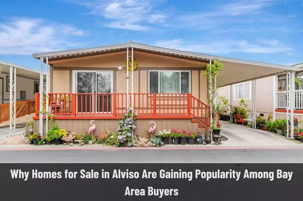 Why Homes for Sale in Alviso Are Gaining Popularity Among Bay Area Buyers