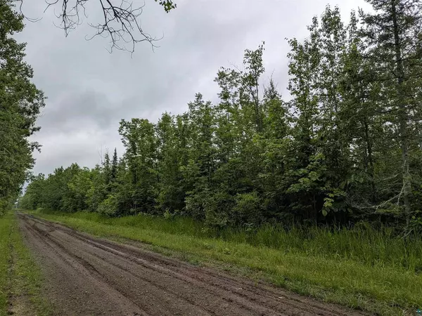 80 Acres on County Line Rd, Brule, WI 54820