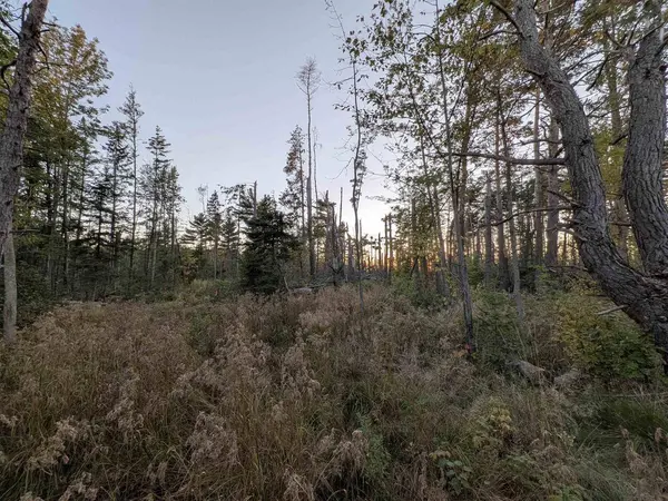 9.58�Acres on Peterson Hill Rd, Bayfield, WI 54814