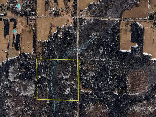 40 Acres on Witte Rd, Butternut, WI 54514