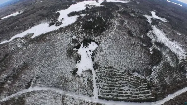 38.7 Acres Near Namakagon Rd, Mellen, WI 54546