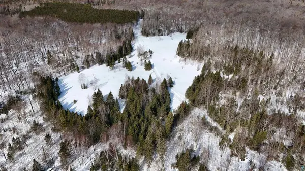 38.7 Acres Near Namakagon Rd, Mellen, WI 54546